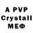 APVP СК Lisa Brady